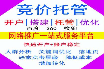实战案例：SEM优化助力品牌知名度提升
