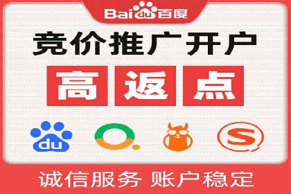 百度竞价推广运营实战技巧与经典案例剖析